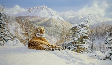 tigre taiga Pinturas al óleo